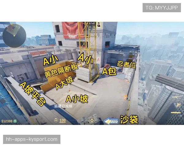 [队伍名]队内通讯录音：顶级战队的报点简洁到了极致